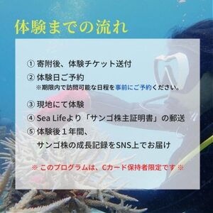 【ダイビング体験チケット】サンゴ養殖プロジェクト 保護作業ダイビング(ライセンス保持者限定)【1581400】