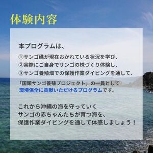 【ダイビング体験チケット】サンゴ養殖プロジェクト 保護作業ダイビング(ライセンス保持者限定)【1581400】