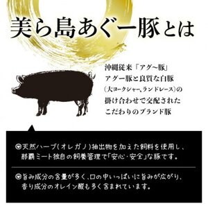 「美ら島あぐー」生ハム 1.4kg(70g×20P)【配送不可地域：離島】【1581999】