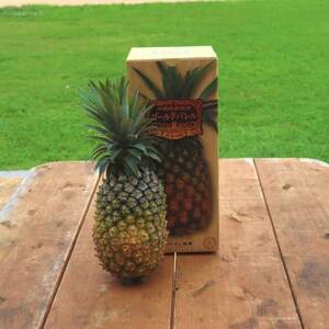 【2026年5月から順次発送・ハウス栽培】パイナップルの王様 ゴールドバレル1玉【配送不可地域：離島】【1584621】