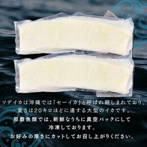 ソデイカ(セーイカ) 1kg(2～3柵)【配送不可地域：離島】【1591583】