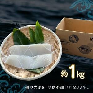 ソデイカ(セーイカ) 1kg(2～3柵)【配送不可地域：離島】【1591583】