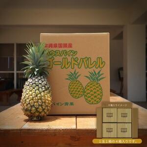 【2026年5月から順次発送・ハウス栽培】パイナップルの王様 ゴールドバレル4玉【配送不可地域：離島】【1608235】