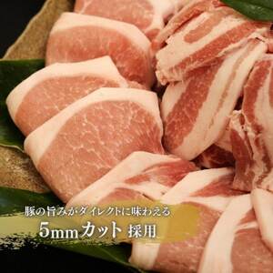 【毎月定期便】くんじゃん豚 焼肉セット(バラ・ロース)計9.6kg全6回【配送不可地域：離島】【4067077】