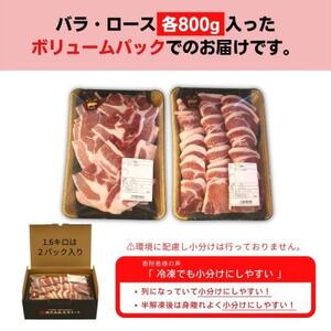 【毎月定期便】くんじゃん豚 焼肉セット(バラ・ロース)計9.6kg全6回【配送不可地域：離島】【4067077】