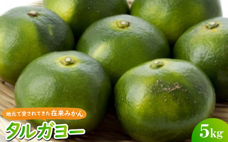 【2026年10月頃から順次発送】地元で愛されてきた在来みかん タルガヨー5kg【1618423】