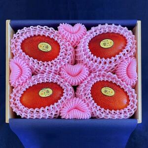 【2026年7月から順次発送・最高級ランク極】燦々マンゴー1.8kg(4玉)【配送不可地域：離島】【1622441】