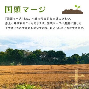 【先行受付・2026年8月中旬から順次発送】島袋さんの夏スイカ大玉 1玉(5.0~7.0kg)【配送不可地域:離島】【1628646】
