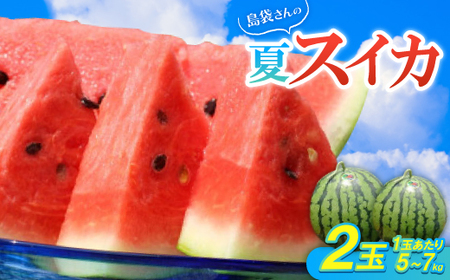 2025年8月中旬から順次発送】島袋さんの夏スイカ大玉 2玉(1玉5.0 2025年8月中旬から順次発送】島袋さんの夏スイカ大玉 2玉(1玉5.0