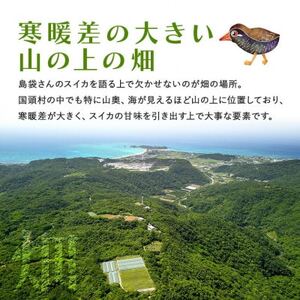 【先行受付・2026年8月中旬から順次発送】島袋さんの夏スイカ大玉 2玉(1玉5.0～7.0kg)【配送不可地域：離島】【1628650】