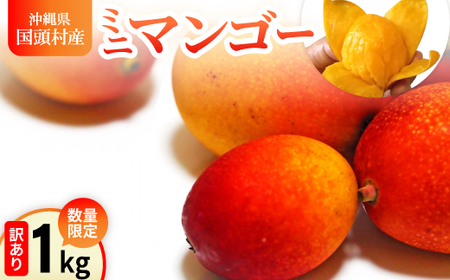 【2026年6月から順次発送】数量限定の訳ありミニマンゴー1kg【配送不可地域：離島】【1634008】