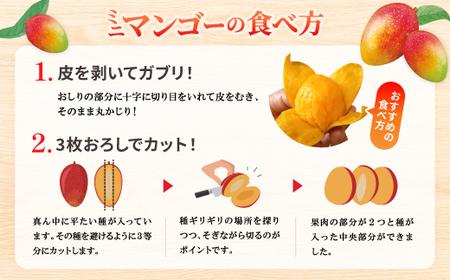 【2026年6月から順次発送】数量限定の訳ありミニマンゴー1kg【配送不可地域：離島】【1634008】
