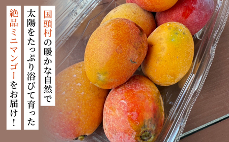 【2026年6月から順次発送】数量限定の訳ありミニマンゴー1kg【配送不可地域：離島】【1634008】
