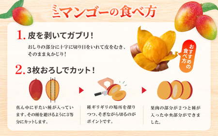 【2026年6月から順次発送】数量限定の訳ありミニマンゴー2kg【配送不可地域：離島】【1634015】