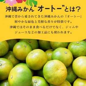 【2026年10月頃から順次発送】やんばる国頭村産 希少な島みかん「オートー」3kg【1662091】