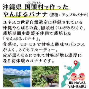 【栽培期間中農薬不使用】やんばるバナナ1.5kg(10～24本)【1578861】