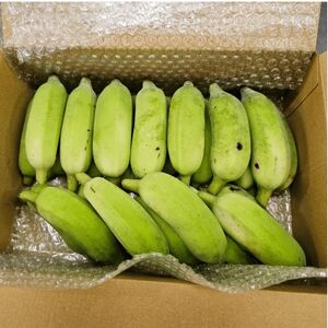 【栽培期間中農薬不使用】やんばるバナナ1.5kg(10～24本)【1578861】