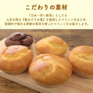 カロッテ洋菓子店の季節のフルーツを使った手作りマフィン詰め合わせ 10個【1682475】