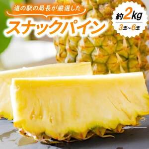 【発送月固定定期便】国頭産パイナップル3種セット(ゴールドバレル・スナックパイン・Nパイン)全3回【配送不可地域：離島】【4078649】