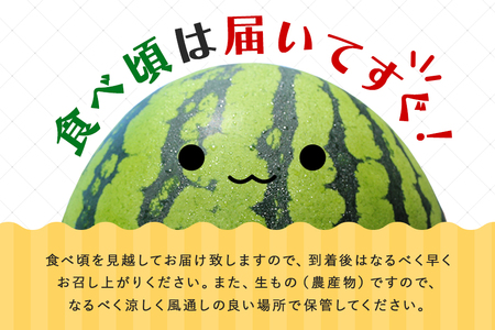 【2025年発送 先行予約】島袋さんの冬スイカ《4～5Kg×２玉》