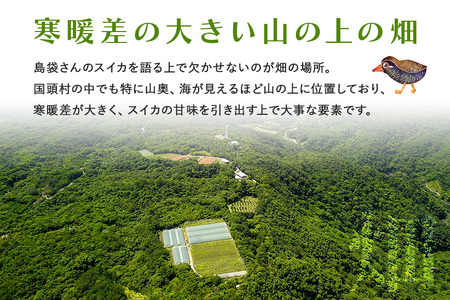 【2025年発送 先行予約】島袋さんの冬スイカ《4～5Kg×２玉》