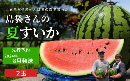 島袋さんの夏スイカ（5～7Kg×2玉）【2024年8月発送】