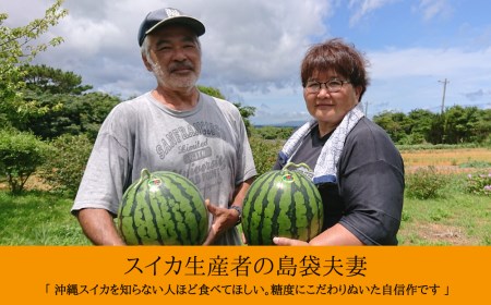 島袋さんの夏スイカ（5～7Kg×2玉）【2024年8月発送】