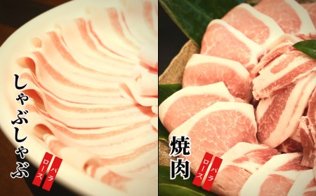 くんじゃん豚【食べ比べセット（焼肉＆しゃぶしゃぶ）計1.6kg】バラ・ロース スライス