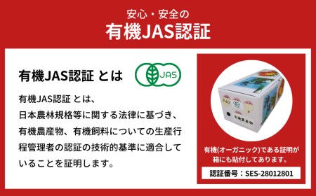 先行予約【有機JAS認証】オーガニックマンゴー1kg（2～3玉）【2024年7月発送】