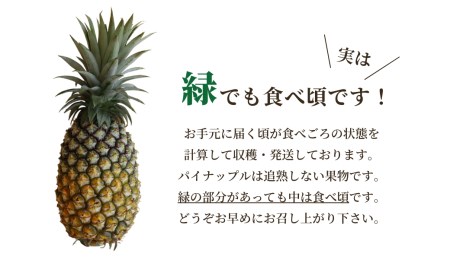 先行予約【2025年5月発送】沖縄県産パインの王様　ゴールドバレル（1.7kg程度）２玉