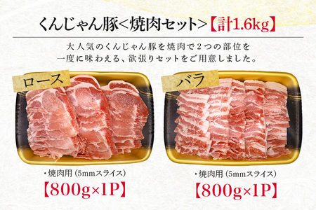 【ビール特産品セット】オリオン ザ・ドラフト＆くんじゃん豚の焼肉　