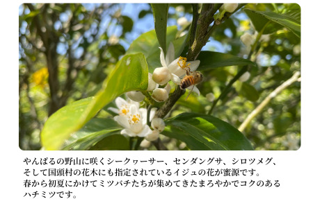 【沖縄県国頭村産】やんばるpure生蜂蜜　甘い百花蜜　180ｇ２本