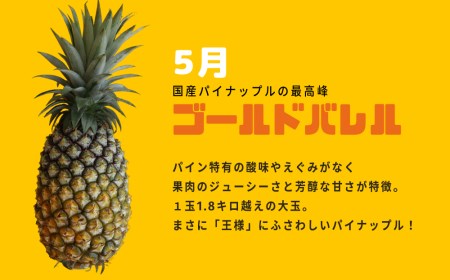 パイン＆パインセット　沖縄県産パイナップル２種＜5月ゴールドバレル・８月Nパイン＞