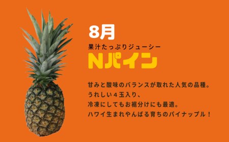 パイン＆パインセット 沖縄県産パイナップル２種＜5月ゴールド