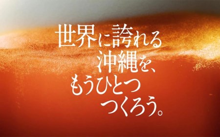 【１２ヶ月定期便】オリオン ザ・プレミアム（350ml×24缶入）
