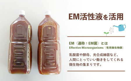 【2026年発送】大宜味村産 アーウィン種マンゴー　優品2キロ以上（青ぎりシークワーサー700ｇ付き） フルーツ 果物 くだもの 果実 沖縄 大宜味村 食べ物 国産 優品 県産 産地直送 ギフト プレゼント トロピカル 送料無料 甘味 スイーツ お取り寄せ デザート マンゴー