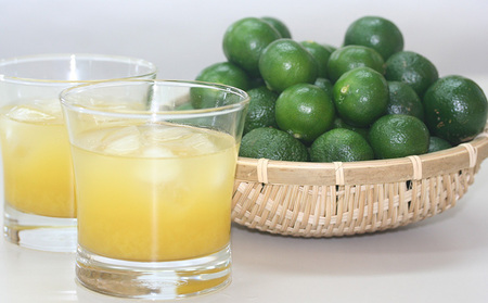 沖縄県大宜味村産100％　青切りシークヮーサー2L　2本セット 沖縄 おきなわ 青切り ドリンク カクテル割り 大宜味村 ノビレチン 2リットル すっきり ドレッシング 調味料 隠し味 話題 国産 県産 すっぱい やんばる 業務用 炭酸割り アレンジ料理