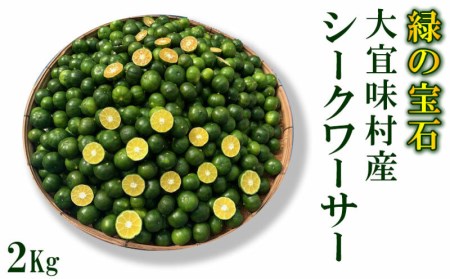青切りシークワーサー《2Kg》【大宜味村 緑の宝石】