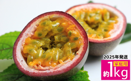 【2025年11月~発送】パッションフルーツ 約1kg(家庭用) フルーツ 果物 くだもの 果実 沖縄 大宜味村 食べ物 国産 ビタミン 沖縄県産 産地直送 ギフト プレゼント トロピカル 送料無料 家庭用 スイーツ お取り寄せ デザート パッション