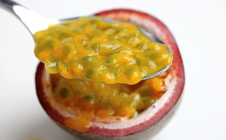 【2025年11月~発送】パッションフルーツ 約1kg(家庭用) フルーツ 果物 くだもの 果実 沖縄 大宜味村 食べ物 国産 ビタミン 沖縄県産 産地直送 ギフト プレゼント トロピカル 送料無料 家庭用 スイーツ お取り寄せ デザート パッション