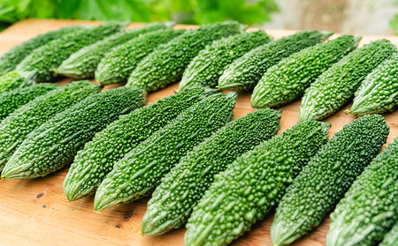 【Farm CRESCERE】ゴーヤー2kg以上 沖縄 大宜味村 ゴーヤー ごーやー チャンプルー 野菜 ふるさと納税 送料無料 沖縄料理 おかず サラダ アレンジ料理 ご当地 郷土料理 ちゃんぷるー 常温 プレゼント 食べ物 2kg