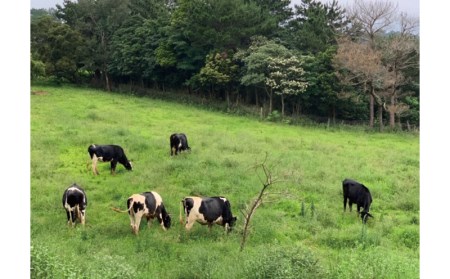 自然の中で酪農＆バター作り体験！きゆな牧場　1泊朝食付き（2名様）