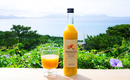 沖縄の贅沢ジュース 12本 ＜青切シークヮサー・黄金シークヮサー 各6本＞ KS1010 青切り 黄金 くがに シークヮーサー 熱中症対策 ノビレチン ストレート 調味料 ジュース 飲み物 お取り寄せ お土産 ドレッシング 果物 くだもの ご当地 やんばる 調理 トロピカル 南国