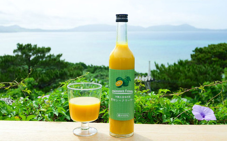 青切シークヮーサー&黄金シークヮーサージュース（各1本セット）KS1002 青切り 黄金 くがに シークヮーサー フルーツ 調味料 ジュース 飲み物 調理 果物 くだもの ノビレチン ビタミンＣ 酸味 取り寄せ ご当地 やんばる カクテル トロピカル 南国