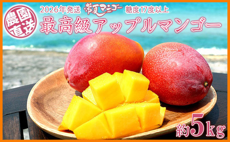 マンゴー【2026年発送】最高級 常夏アップルマンゴー！糖度17度以上 約5kg