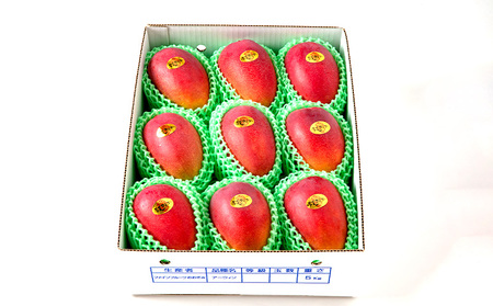 マンゴー【2026年発送】最高級 常夏アップルマンゴー！糖度17度以上 約5kg