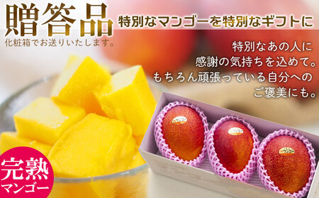 マンゴー【2026年発送】最高級 常夏アップルマンゴー！糖度17度以上 約5kg