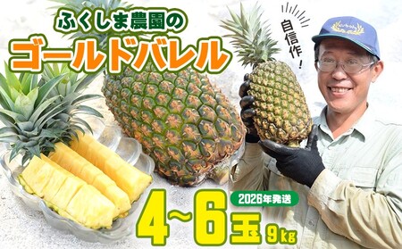 ゴールドバレル【パインアップル】(4～6玉）約9kg　ふくしま農園の自信作！◆2026年発送◆ ゴールドバレル パイナップル 高品質 新鮮 ジューシー 希少 高い糖度 大玉 甘い トロピカル パイン 生産量日本一 高級フルーツ 南国フルーツ 国産フルーツ 完熟 福島 農家直送 沖縄 東村［■提供事業者：ふくしま農園］