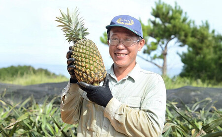 ゴールドバレル【パインアップル】(4～6玉）約9kg　ふくしま農園の自信作！◆2026年発送◆ ゴールドバレル パイナップル 高品質 新鮮 ジューシー 希少 高い糖度 大玉 甘い トロピカル パイン 生産量日本一 高級フルーツ 南国フルーツ 国産フルーツ 完熟 福島 農家直送 沖縄 東村［■提供事業者：ふくしま農園］