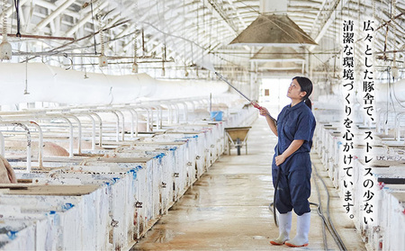 あぐー豚「パイとん」しゃぶしゃぶ用1kg(500g×2)&ウィンナー6本